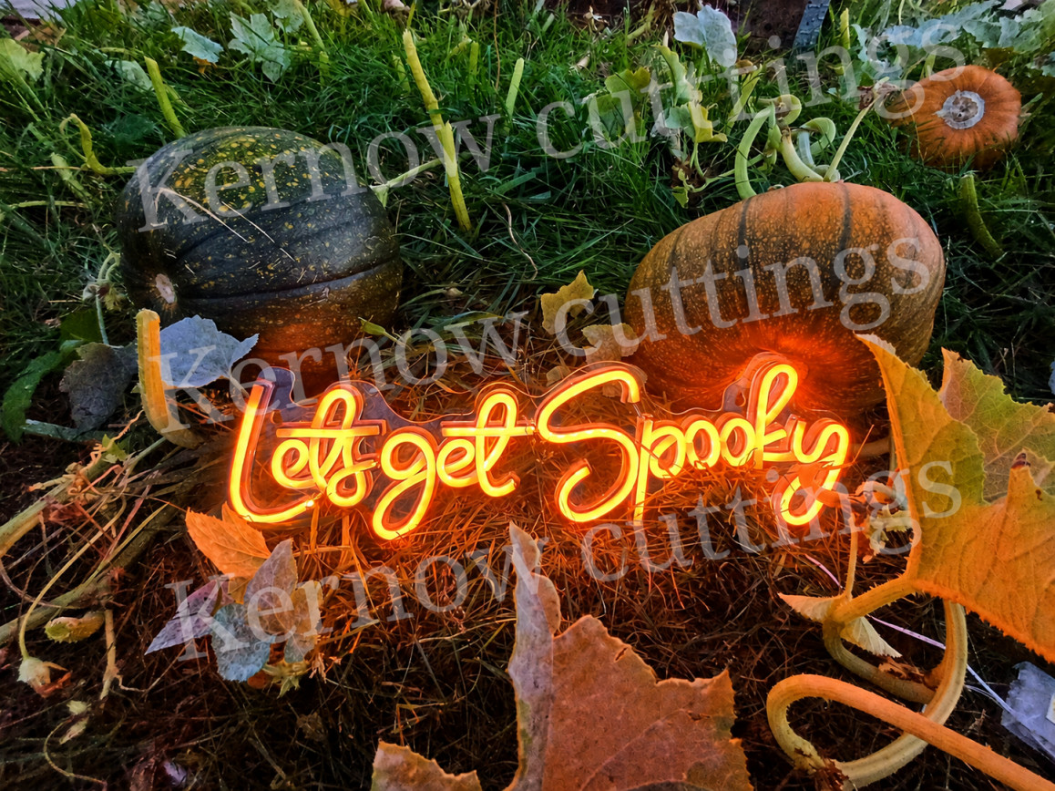 Homegrown pumpkin's